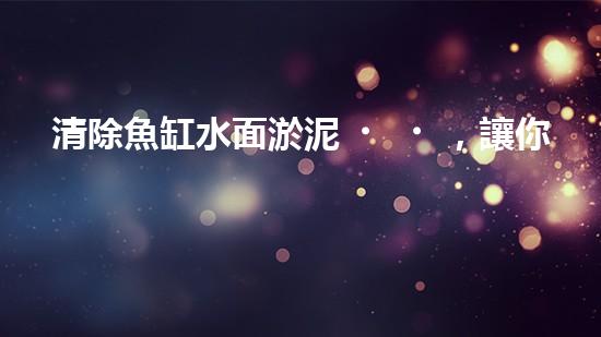 清除魚缸水面淤泥，讓你的寵物魚兒呼吸更暢快！